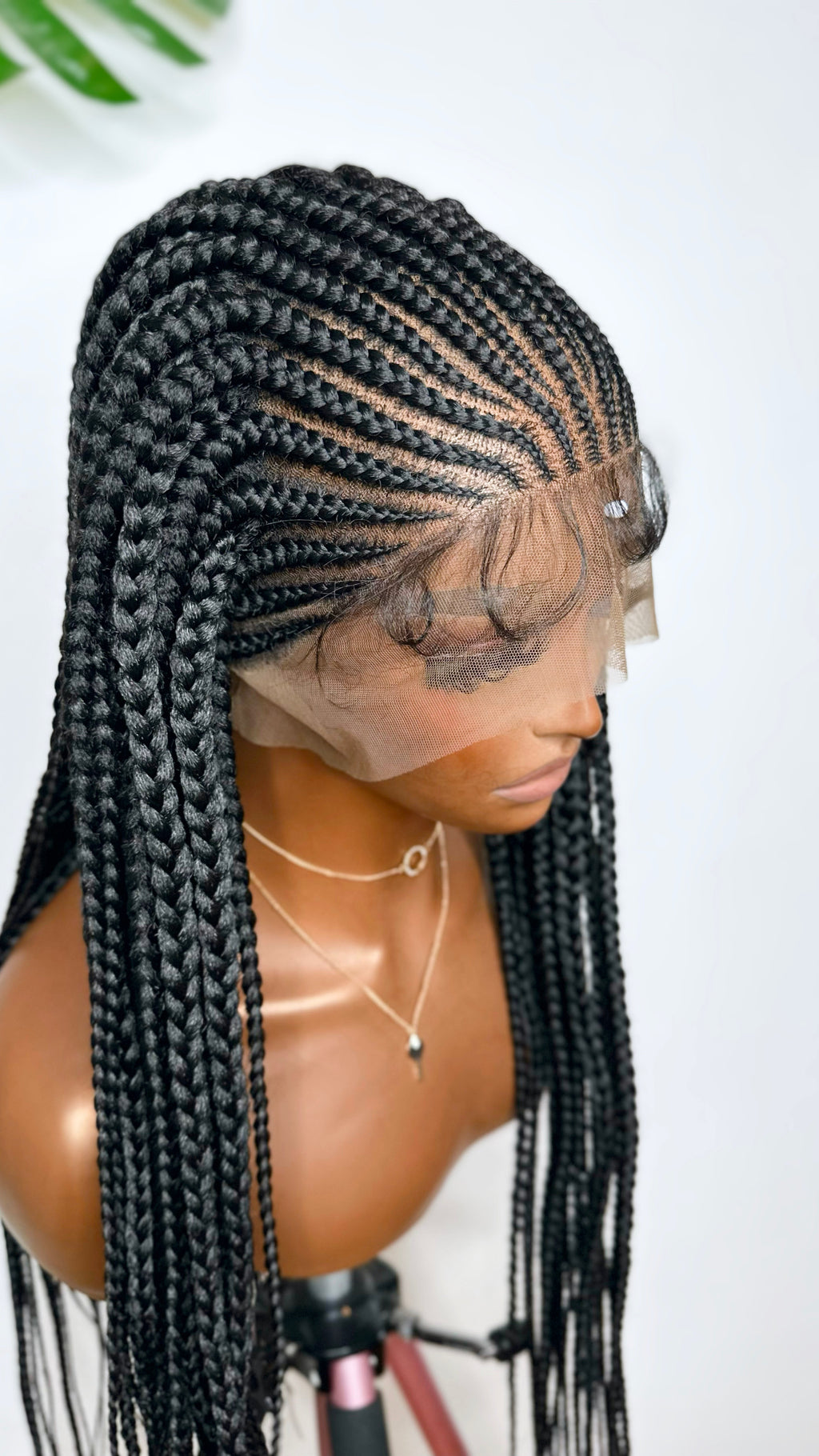 Ericka Glueless Braided Wig.