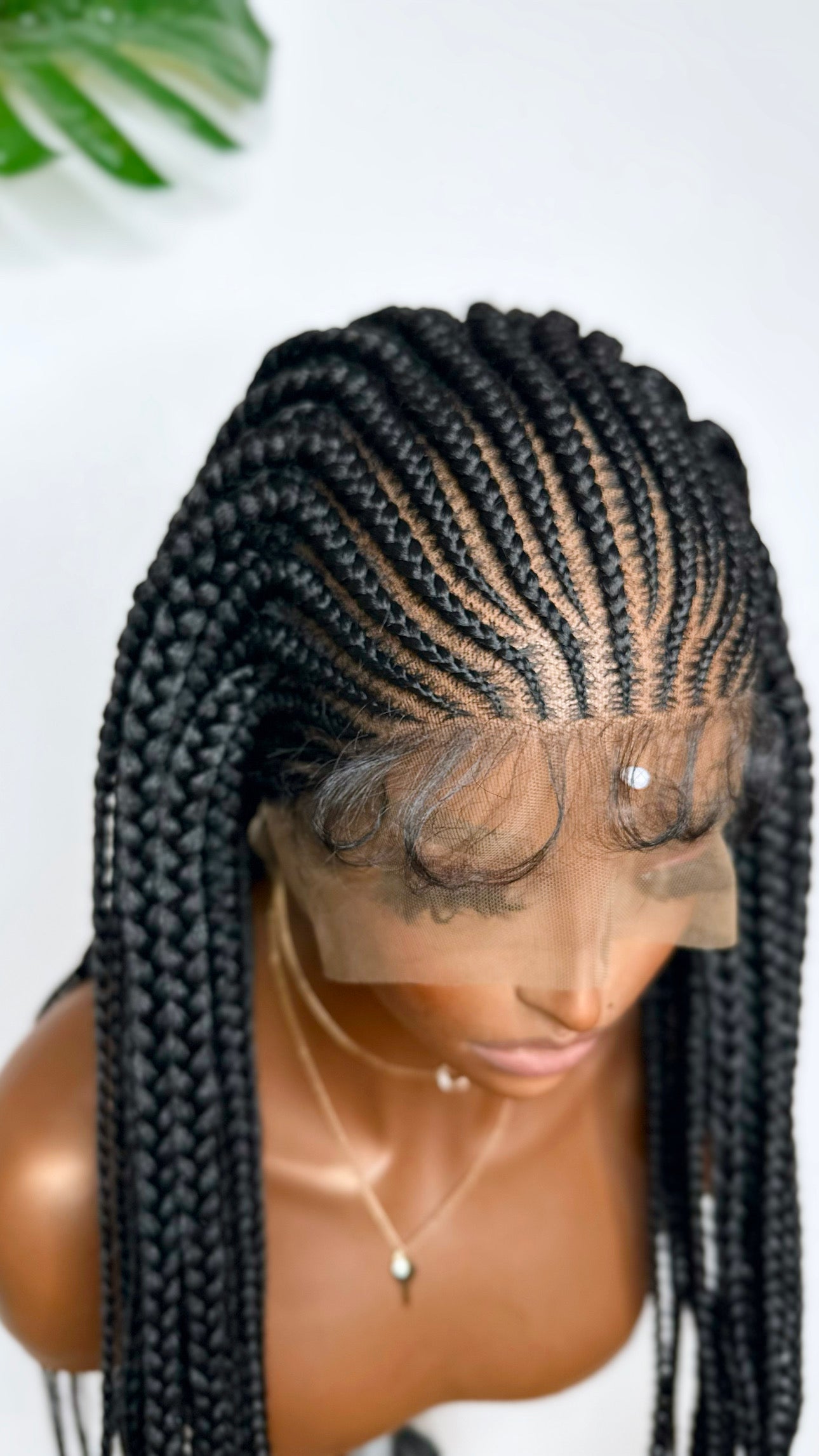 Ericka Glueless Braided Wig.