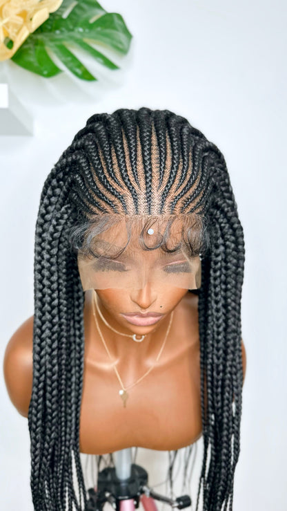 Ericka Glueless Braided Wig.