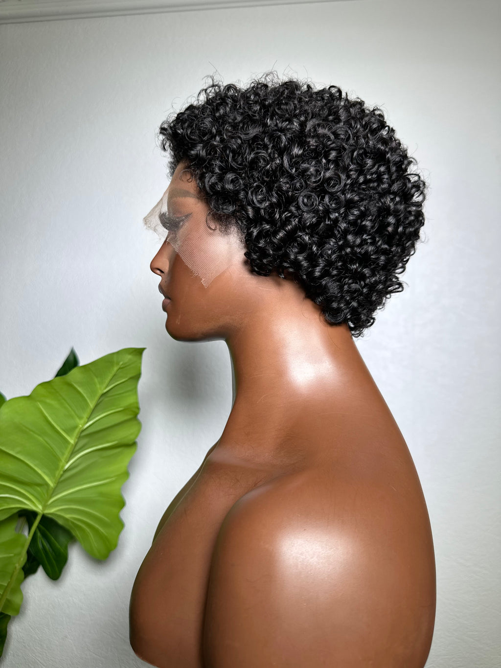 Becca 13x4 HD